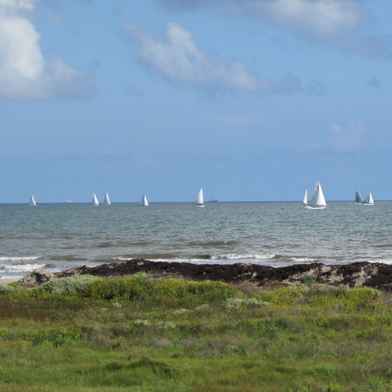 Harvest Moon Regatta Galveston Events Sand 'N Sea